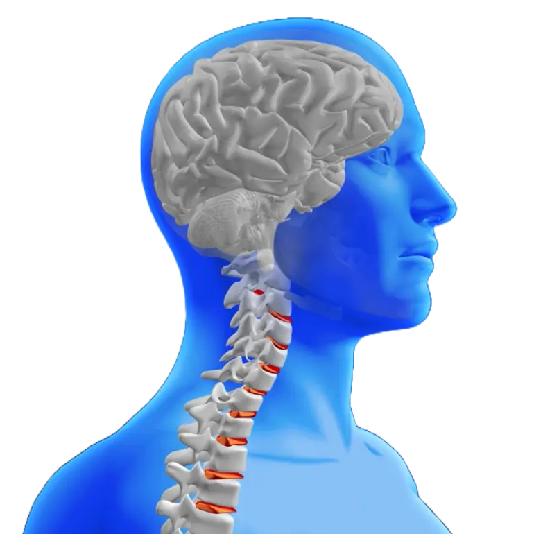 neurosurgeon in indore, best neurosurgeon in indore